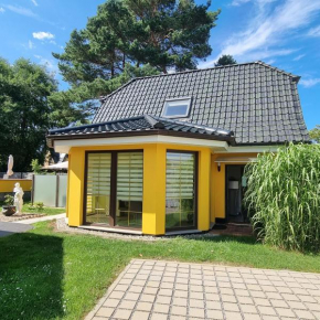 Ostseekrabbe in Prerow
